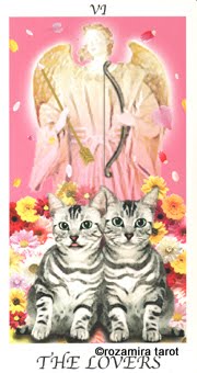 Cat's House Tarot by Hiroko Miyamoto